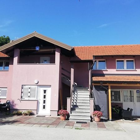 Guest House Lucija Buzin Exterior photo